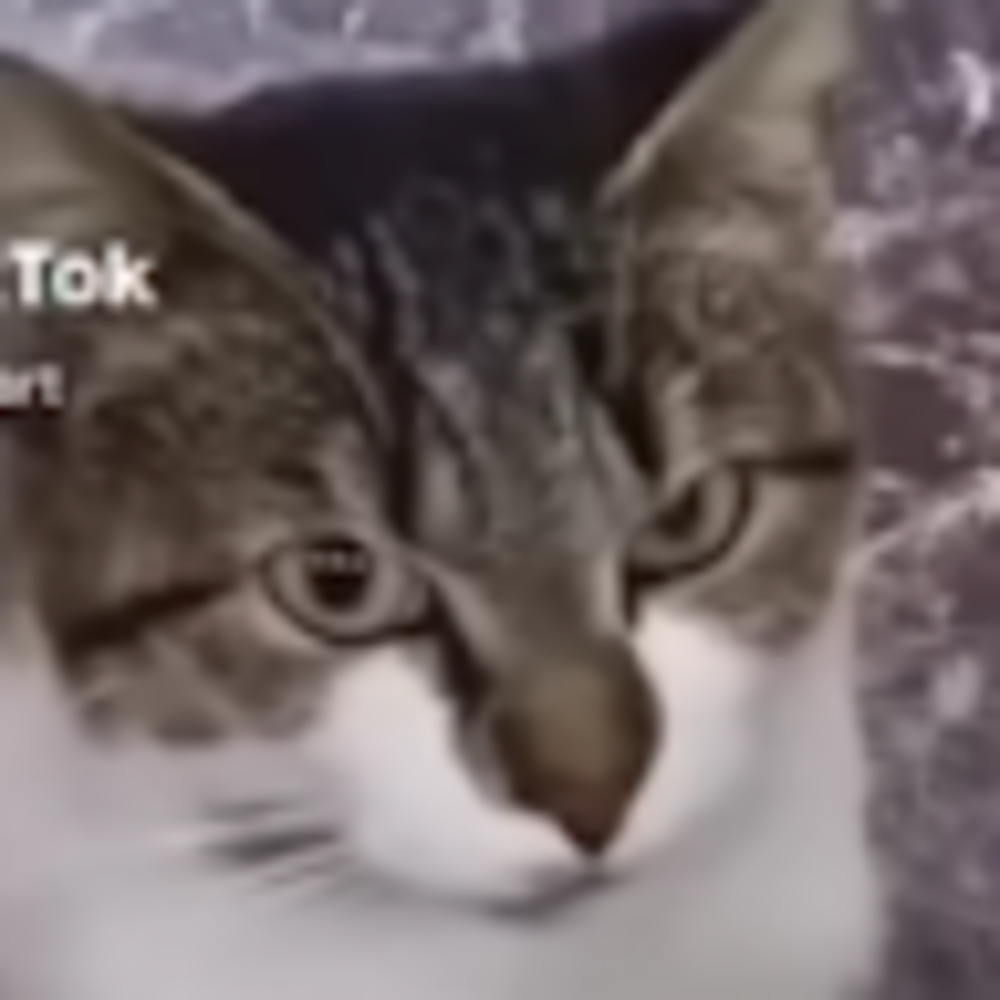 Meet your Posher, Aiden